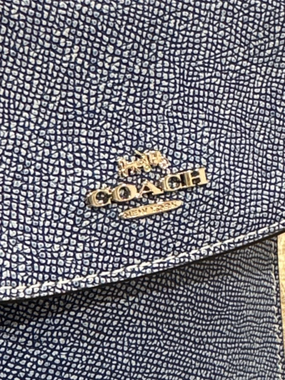 Coach Bag North South Light Denim Blue Leather Crossbody Phone Pouch with Chain